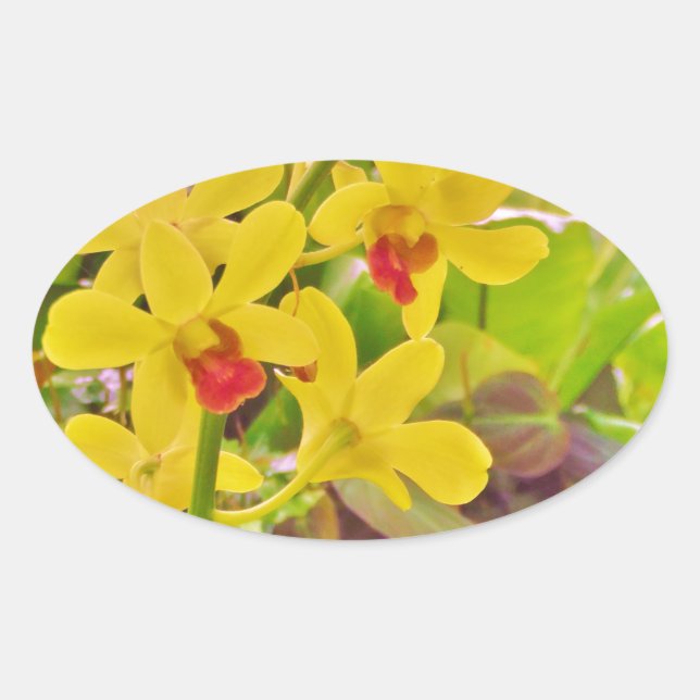 Sticker Ovale Beautiful Yellow autumn (Devant)