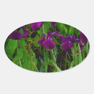 Sticker Ovale Belle Iris Violet