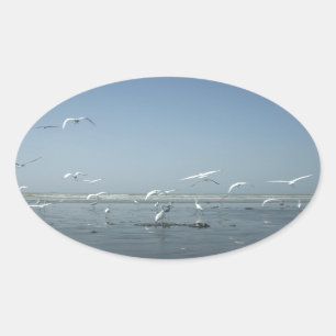 Sticker Ovale Belles grues volant au-dessus de l'eau Ballet de l