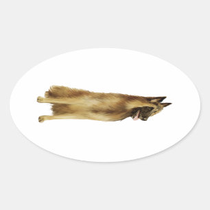 Sticker Ovale Berger belge Tervuren (A)