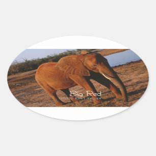 Sticker Ovale Big Red
