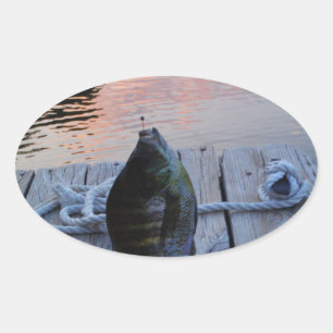 Sticker Ovale Bluegill au coucher du soleil Lac Arrowhead
