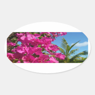 Sticker Ovale Bougainvilliers et palmiers paysage tropical