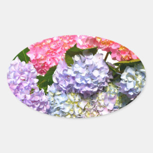 Sticker Ovale Bouquet d'hortensia bleu rose violet élégant