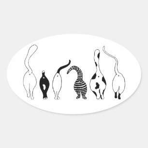 Sticker Ovale Boutons de chat