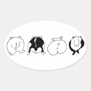 Sticker Ovale Boutons Hamster