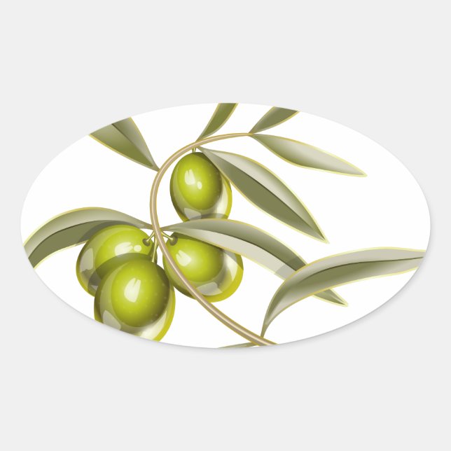 Sticker Ovale Branche des olives vertes (Devant)