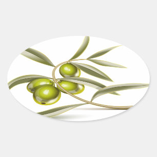 Sticker Ovale Branche des olives vertes