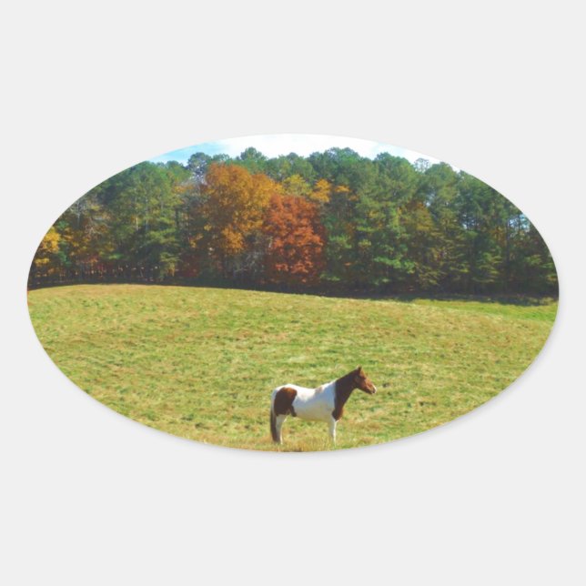 Sticker Ovale Brown & cheval blanc, arbres d'automne, ciel bleu (Devant)