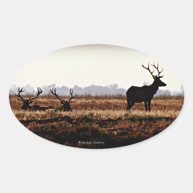 Sticker Ovale Bull Elk Silhouette (Devant)