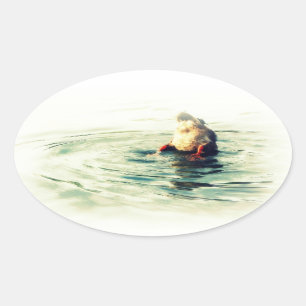 Sticker Ovale Ça Finit ! Bouton de canard
