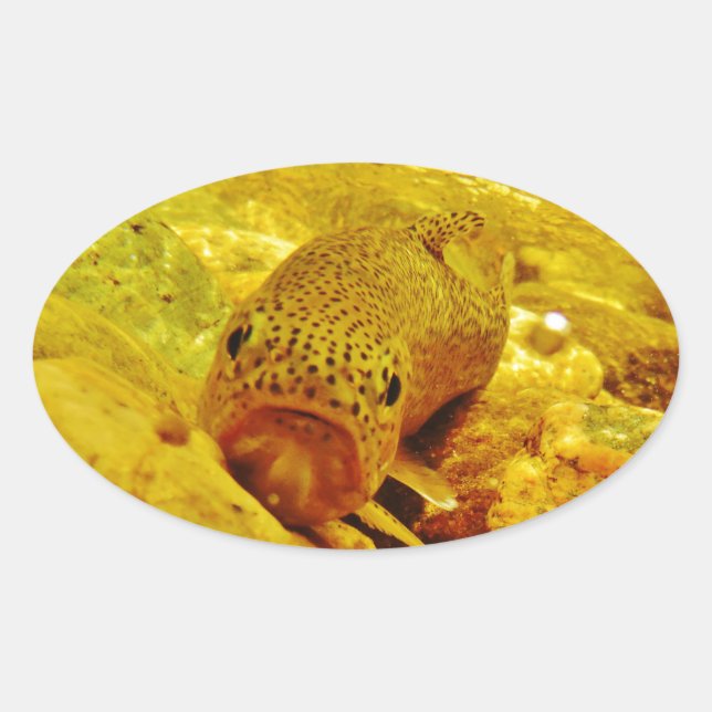 Sticker Ovale Canal en flux (Devant)