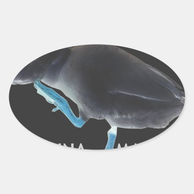 Sticker Ovale Canard avec moi se réveille comme ça & Hakuna Mata (Devant)