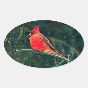 Sticker Ovale Cardinal d'hiver en tempête de neige - Amélioré