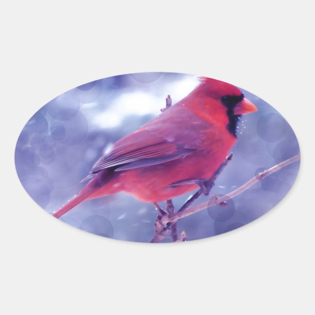 Sticker Ovale Cardinal rouge au Blizzard (Devant)
