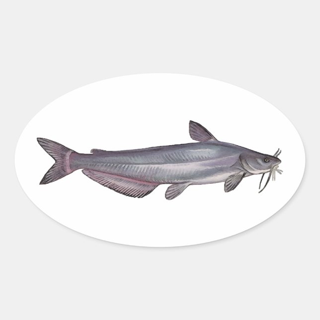 Sticker Ovale Catfish bleu (Devant)