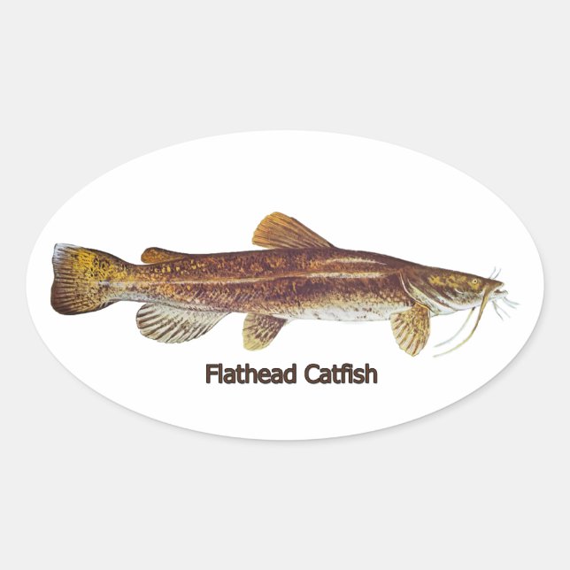 Sticker Ovale Catfish en tête d'affiche (Devant)