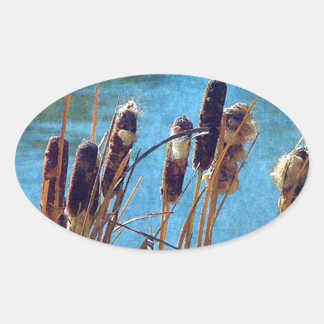 Sticker Ovale Cattails sur l'étang (Devant)
