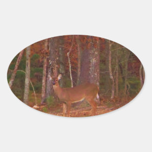 Sticker Ovale Cerf, Grass vert rouge et feuilles d'or