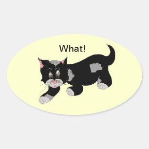 Sticker Ovale Chat cool avec dire
