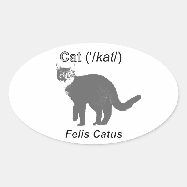 Sticker Ovale Chat Felis Catus (Devant)
