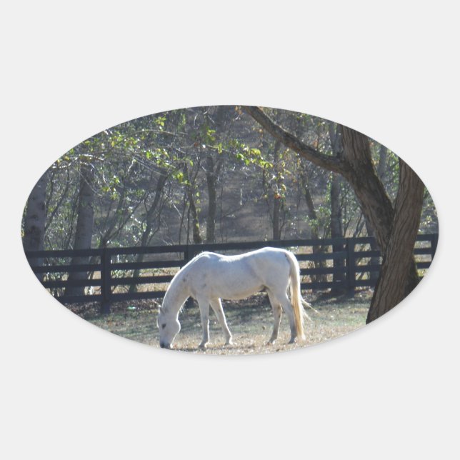 Sticker Ovale Cheval blanc dans les arbres (Devant)