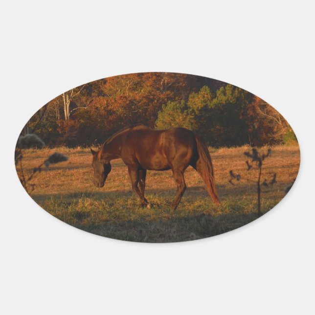 Sticker Ovale Cheval Brown rouge, bois d'automne. (Devant)
