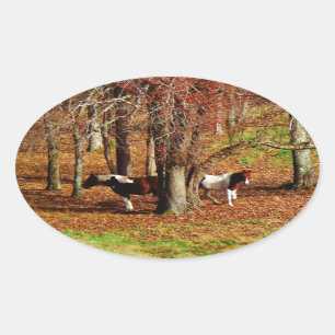 Sticker Ovale Chevaux jumeaux Brown et blancs