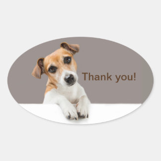 Sticker Ovale Chiot Jack Russell Doux Adorable Merci