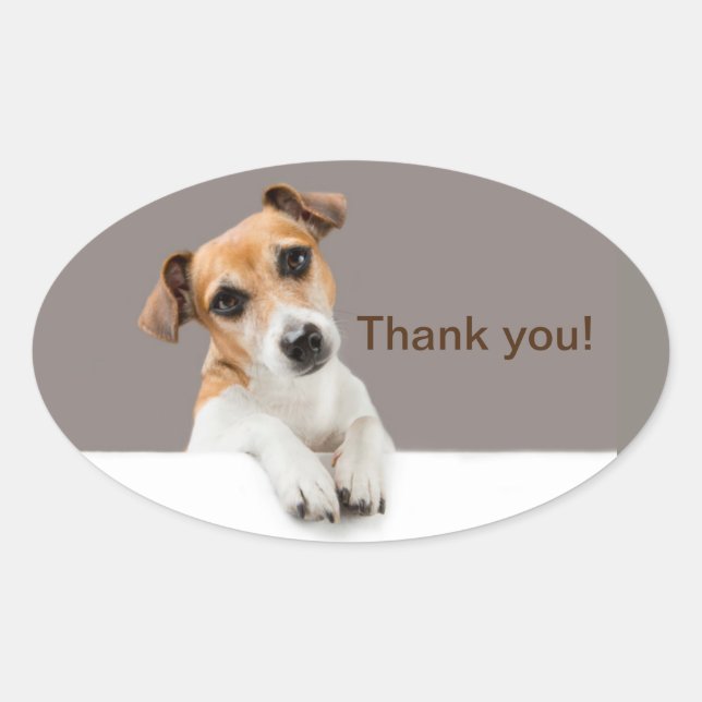 Sticker Ovale Chiot Jack Russell Doux Adorable Merci (Devant)