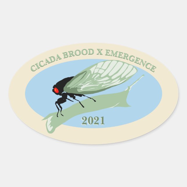 Sticker Ovale Cicada Brood X Emergence 2021 (Devant)