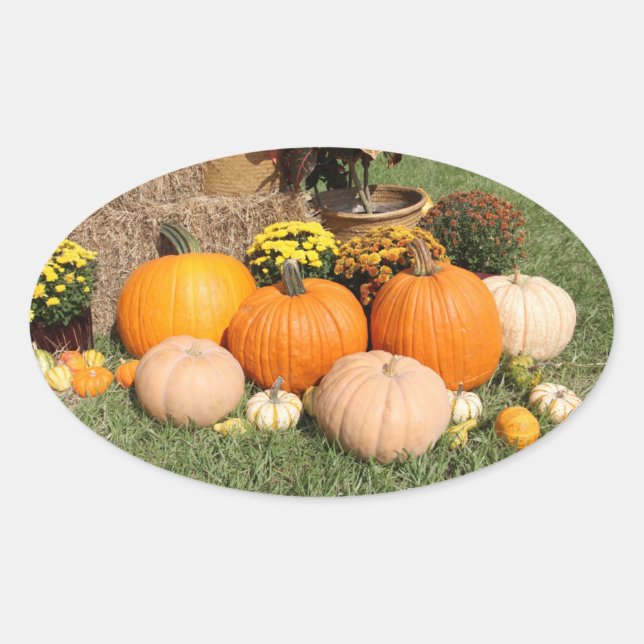 Sticker Ovale Citrouilles d'automne et mamans (Devant)