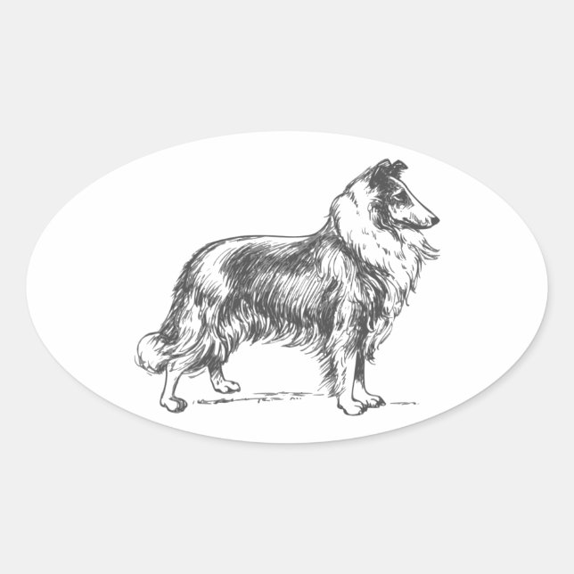 Sticker Ovale Collie Dog (Devant)