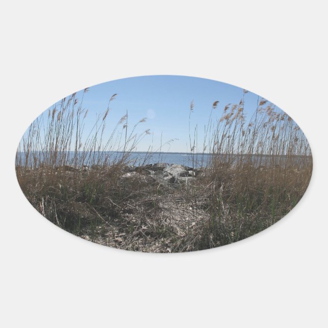 Sticker Ovale Colonial Beach 1 (Devant)