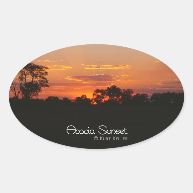 Sticker Ovale Coucher de soleil Acacia (Devant)