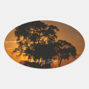 Sticker Ovale Coucher de soleil de Savannah