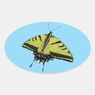 Sticker Ovale Couleurs de la queue du papillon Swallowtail Weste