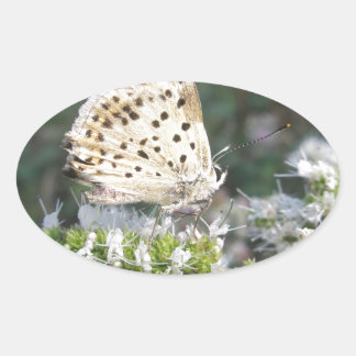 Sticker Ovale Crème étonnante et papillon au chocolat