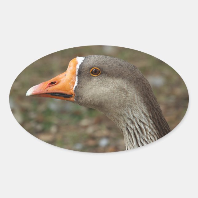 Sticker Ovale Croix du cygne gris (Devant)