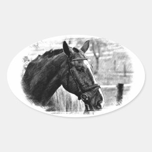 Sticker Ovale Croquis noir blanc