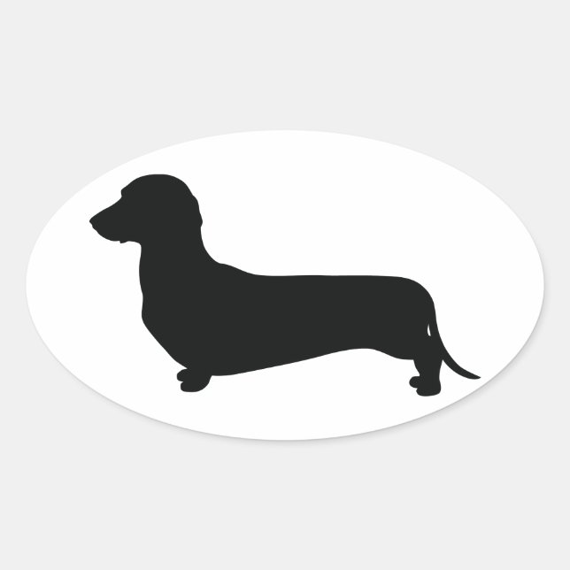 Sticker Ovale Dachshund de base (Devant)