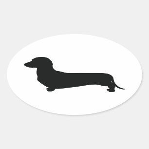 Sticker Ovale Dachshund de base