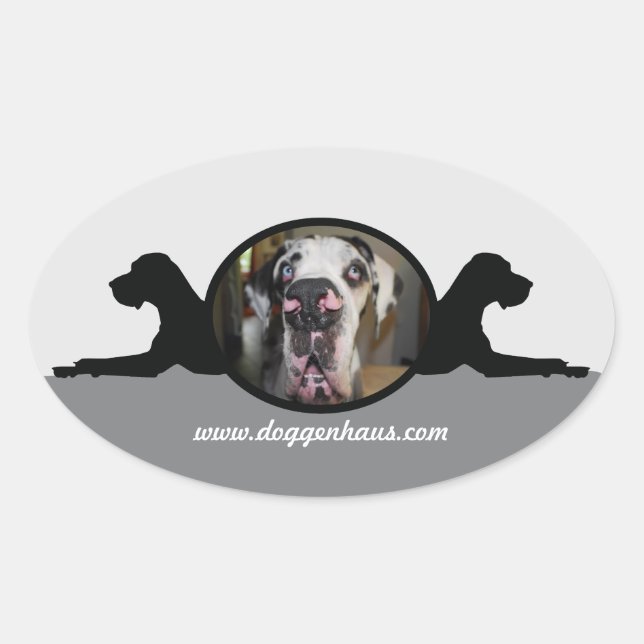 Sticker Ovale Danesticker (Devant)