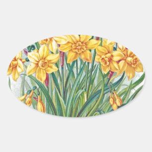 Sticker Ovale date rsvp fleurs jonquille jaune vintage