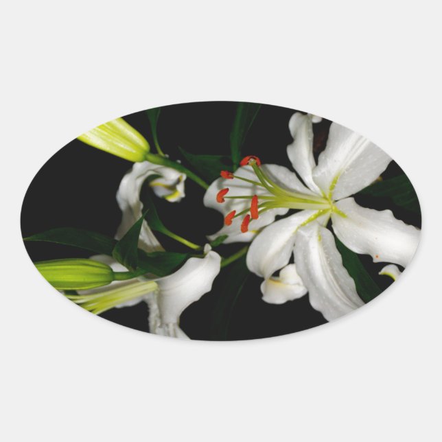 Sticker Ovale Design irlandais - La collection Flower (Devant)