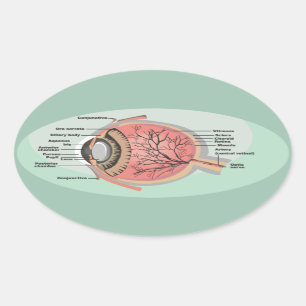 Sticker Ovale Diagramme des yeux pour le Mois national des soins