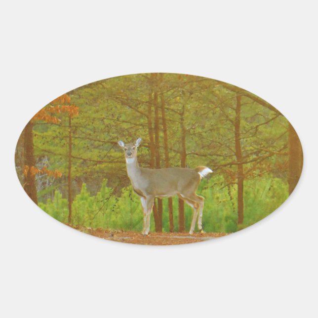 STICKER OVALE DSCF4041.JPG (Devant)