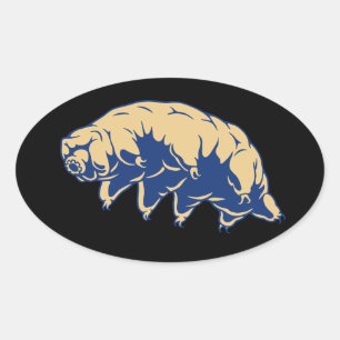 Sticker Ovale Durable - Tardigrade