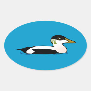 Sticker Ovale Eider commun Birdorable