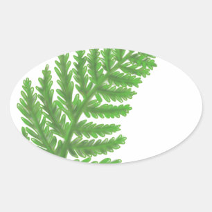 Sticker Ovale Élégante fougères vertes feuilles de bois